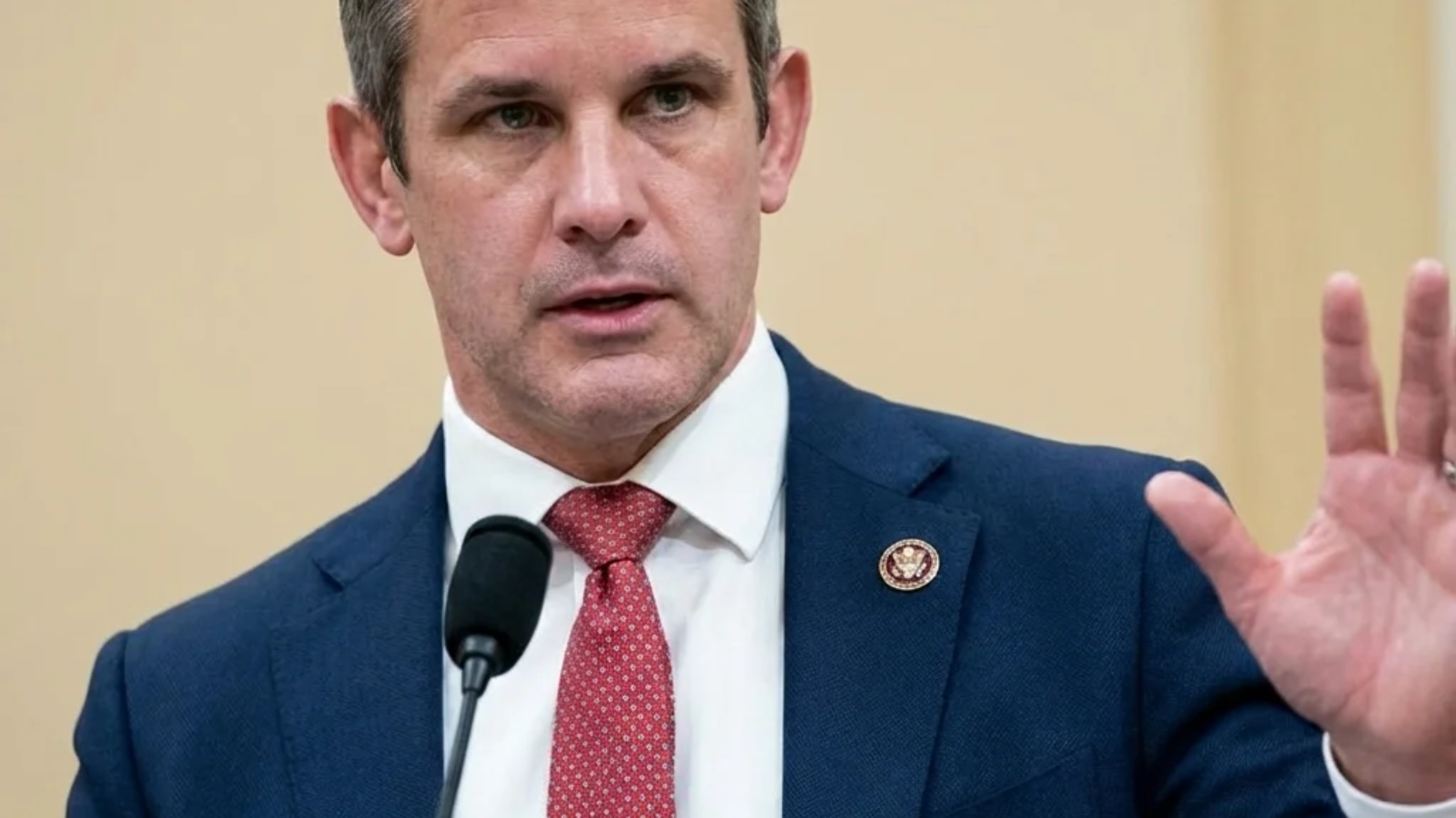 Adam Kinzinger net worth overview showing the former U.S. Congressman, military veteran, and political commentator.